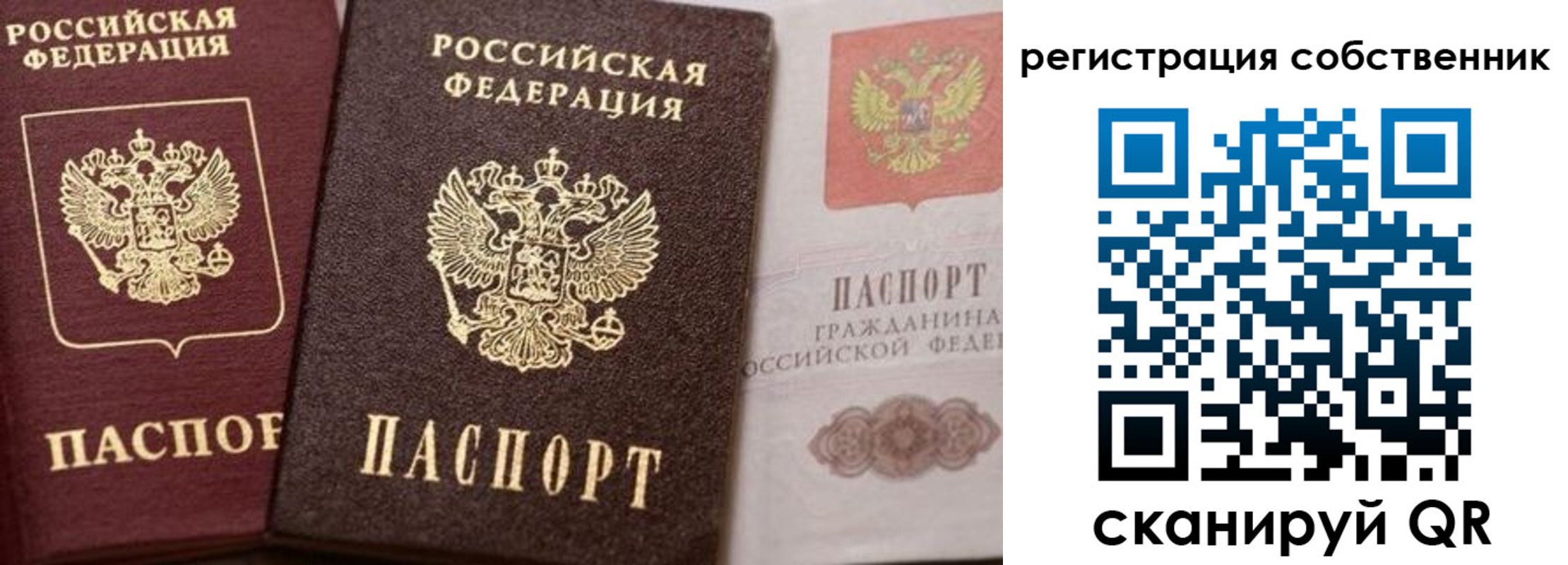 прописка ребенка в Алексеевке
